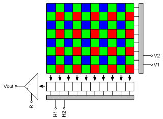 Schematic diagram of color CCD detector with Bayer mask