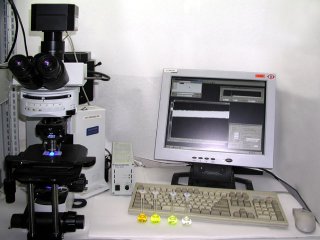 Kamera G2 CCD na mikroskopu Olympus